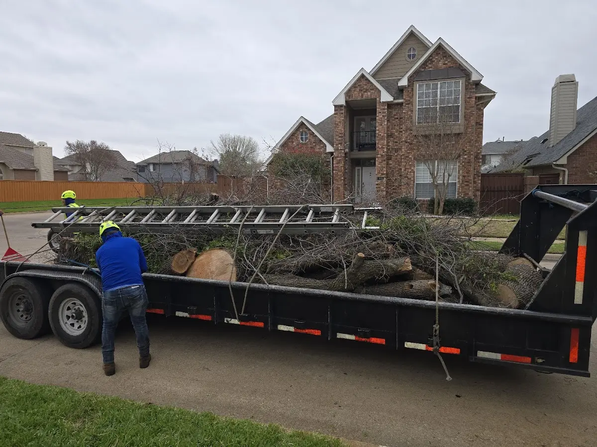 Expert Tree Fertilization with proper safety equipment in Chestnutridge